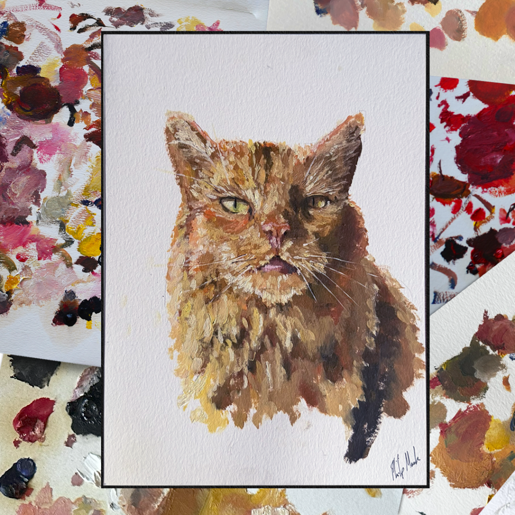 Susan the boy cat.
